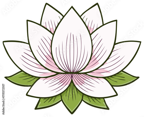 Floral illustration of a blooming lotus flower with leaves, cartoon design