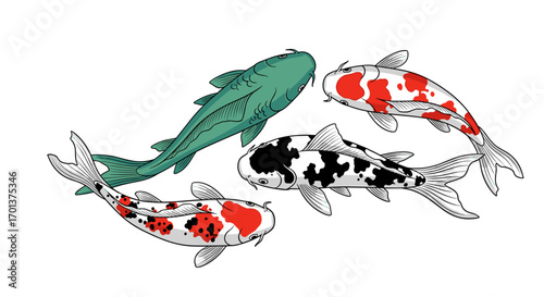 Vibrant aquatic life capturing the graceful flow of four distinctive koi fish swimming in harmony