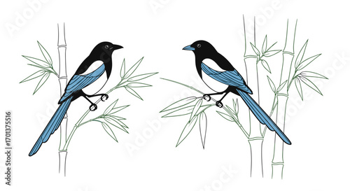Two beautiful magpies perched on bamboo branches surrounded by delicate foliage