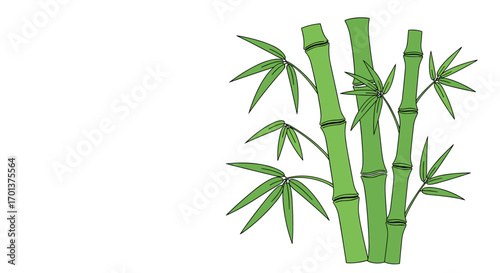 Vibrant green bamboo stalks with delicate leaves on a white background representing nature and growth