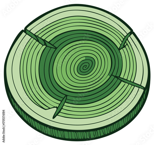 Wood Slice with Growth Rings Green Tree Section Cross Section Illustration