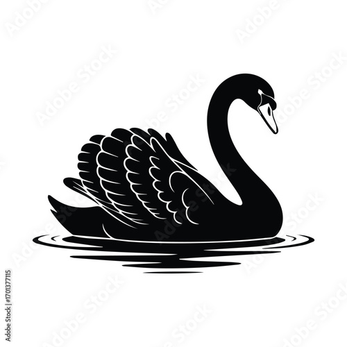 Elegant black swan silhouette floating peacefully on water graphic design illustration