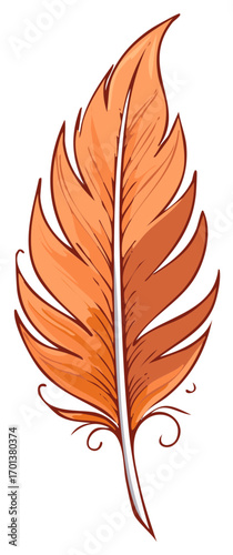 Stylized orange bird feather illustration with decorative swirls