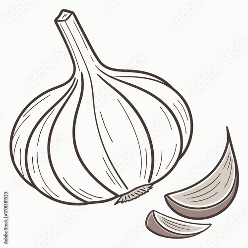 Vintage line art illustration of a whole garlic bulb and cloves