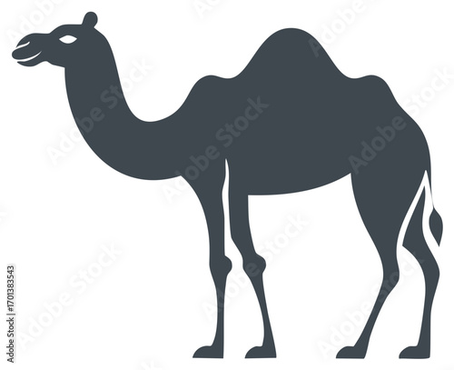 Camel Silhouette Illustration:  A minimalist design of a dromedary, standing with its humps clearly visible.