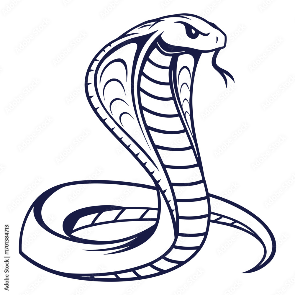 Fototapeta premium Majestic Cobra A Detailed Vector Illustration