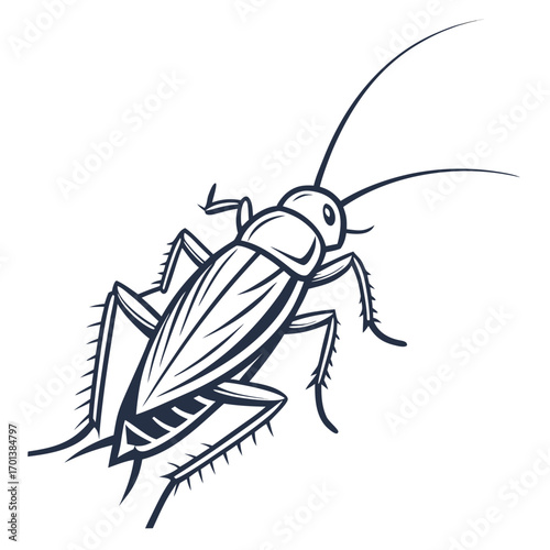 Detailed Vector Illustration of a Cricket Insect