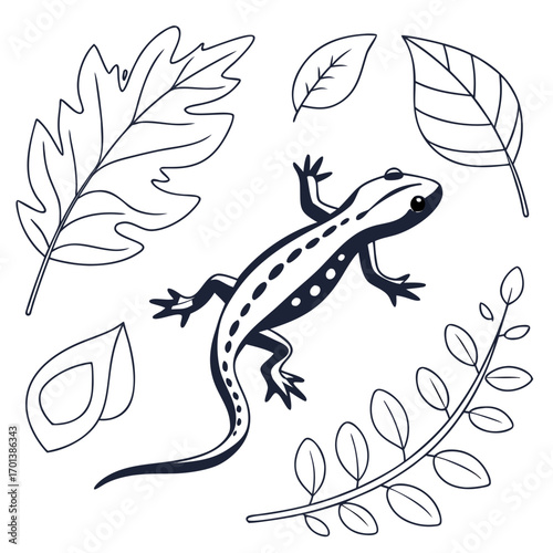Elegant Line Art Collection of a Spotted Newt and Assorted Botanical Foliage