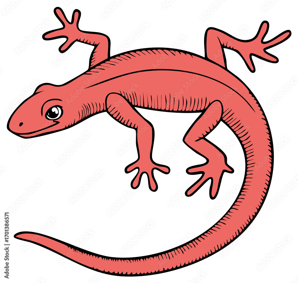 Fototapeta premium Illustration of a stylized red salamander, cartoon style, on a white background