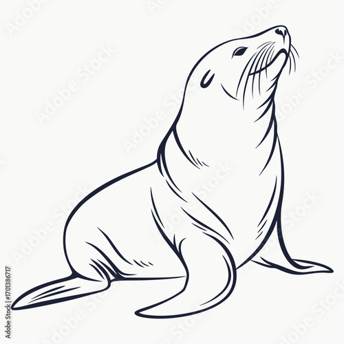 Graceful sea lion posing in a black and white line art style