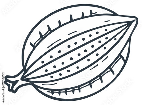 Cocoa pod drawing with dots line art isolated, tropical fruit linear doodle, hand drawn cacao bean