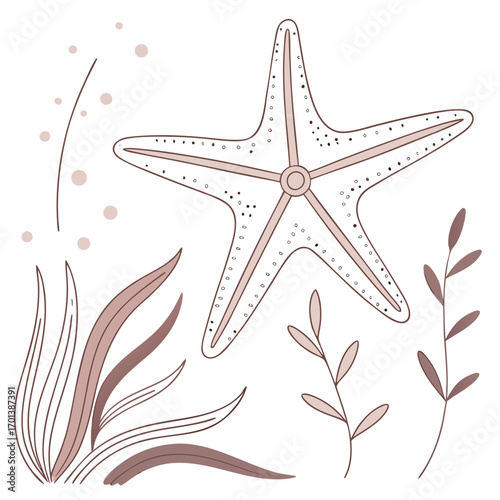 Stylized sea star and aquatic plants illustration