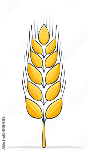 Isolated golden ear of wheat with stem for print and web design harvest decoration