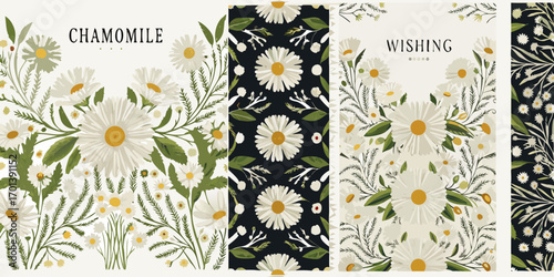 Collection of chamomile flower designs with text and patterns for greeting cards and stationery