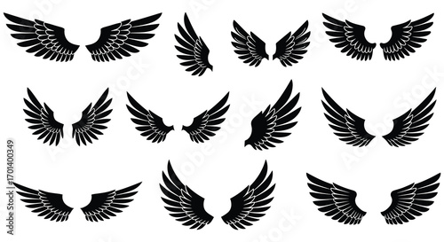 various styles of black wings spread out symmetrically