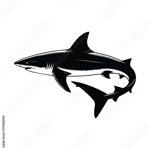 Striking black and white illustration of a Great White Shark apex predator