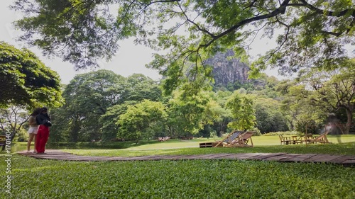 Serene Timelapse of Lush Green Park with Scenic Mountain Backdrop and Wooden Pathways Amidst Sprawling Trees and Natures Landscape