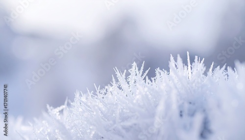 Close-up of Delicate White Frost Crystals on a Blurred Background