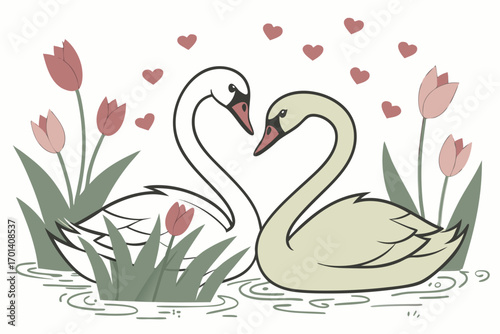 two swans on the lake