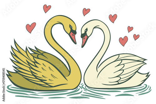two swans on the lake