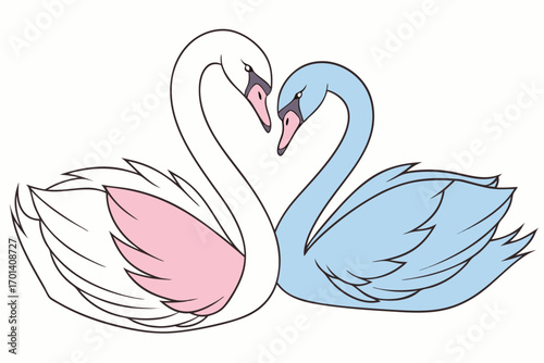 swans on the lake