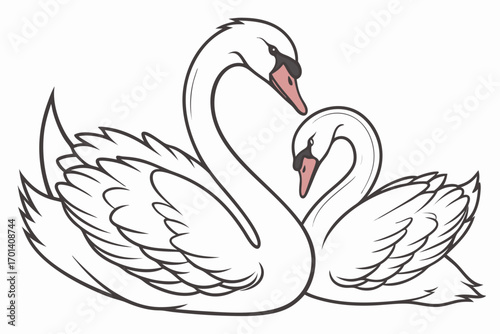 swan on black background