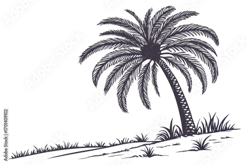 palm tree silhouette