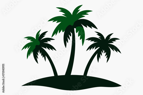 tropical palm tree