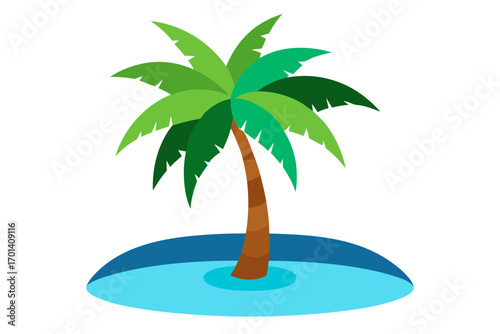 palm tree on the beach