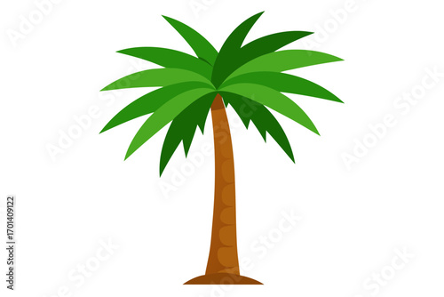 palm tree on white background