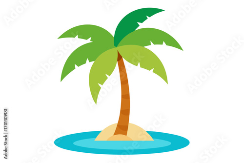 tropical palm tree