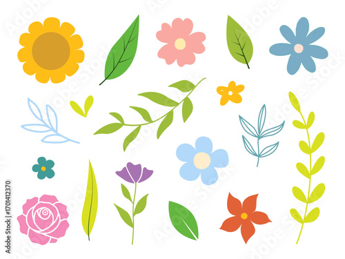 Collection of colorful flowers and leaves vector.
