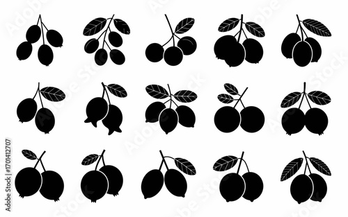 Vector art of set of different berries in silhouette style