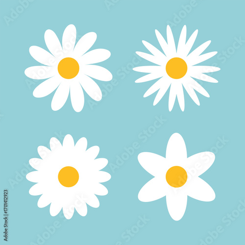 Daisy and chamomile white flowers icon vector collection.