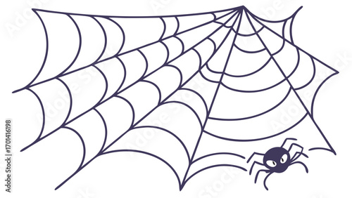 Transparent spider and web