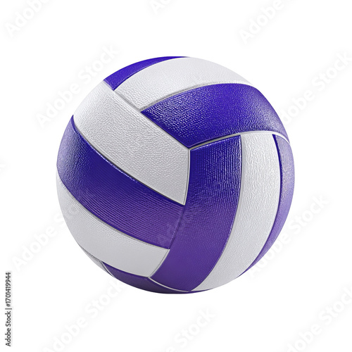 Purple and white volleyball