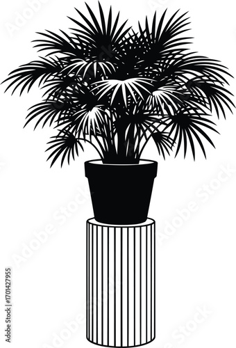 Elegant palm tree in stylish planter modern home decor sophisticated interior design vector