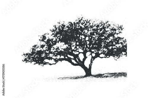 Silhouetted Oak Tree with Textured Foliage and Branches. Vector hand drawn illustration