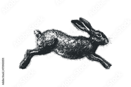Hare bounding on transparent background, ink sketch style. Vector hand drawn illustration