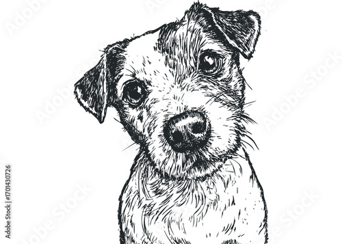 Dog portrait, sketch, head tilt, curious expression, transparent background. Vector hand drawn illustration