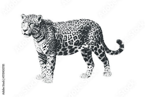 Stippled Jaguar Animal on Transparent. Vector hand drawn illustration
