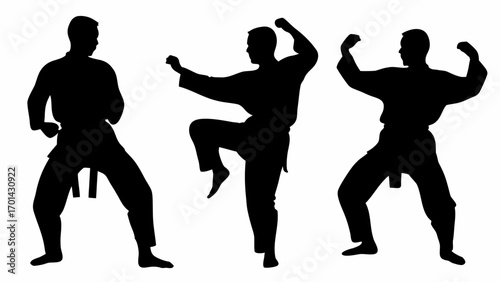 Three black silhouettes of karate practitioners in various stances against a white background display