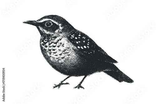 Halftone Dot Pattern Bird Image Isolated. Vector hand drawn illustration