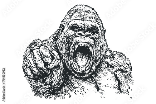 Fierce gorilla roaring and pointing with textured ink drawing. Vector hand drawn illustration