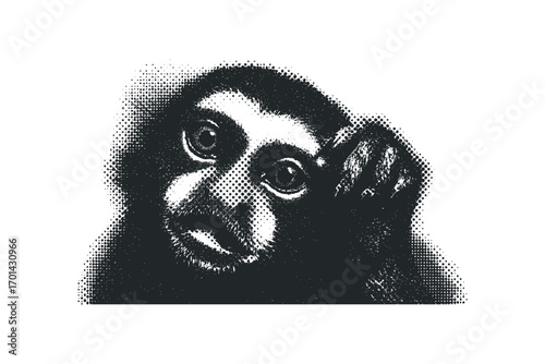 Monkeys face close up on a transparent background. Vector hand drawn illustration