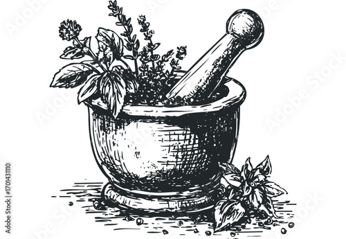Sketch of a mortar and pestle with fresh herbs and spices. Vector hand drawn illustration