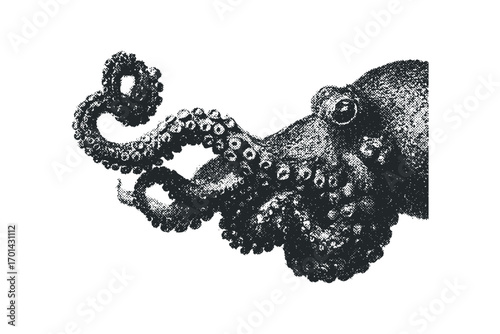 Stylized Octopus Tentacle on Transparent Background. Vector hand drawn illustration