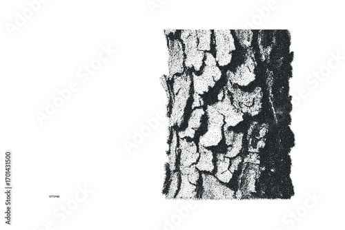 Textured bark detail on transparent background. Vector hand drawn illustration