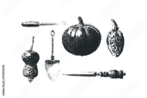 Halftone graphic of garden tools and gourds on transparent background. Vector hand drawn illustration