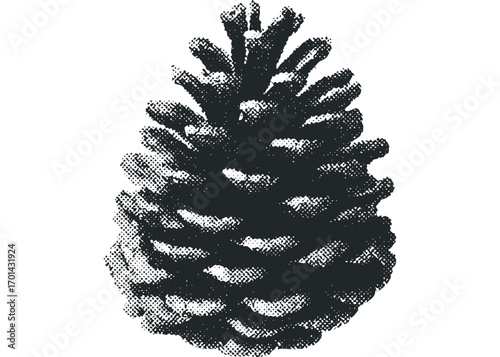 Pine cone graphic on transparent background with halftones. Vector hand drawn illustration
